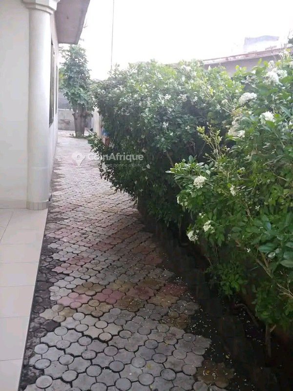 Villa luxueuse de 3 pièces avec garage spacieux et espace vert