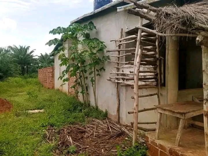 Maison neuve de 3 chambres avec système de forage et panneaux solaires