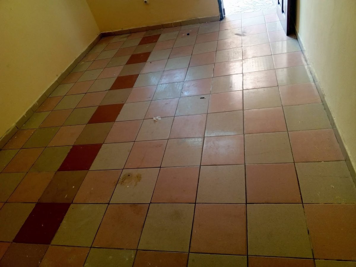 Appartement cosy d'une pièce avec véranda et accès véhicules au rez-de-chaussée