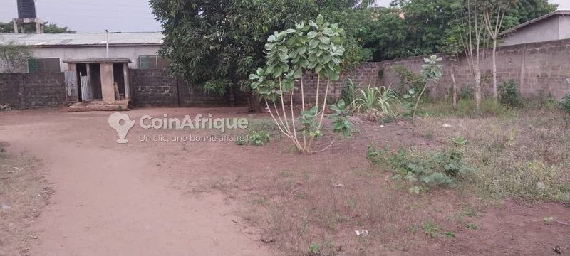 Terrain constructible avec titre foncier sécurisé et emplacement stratégique