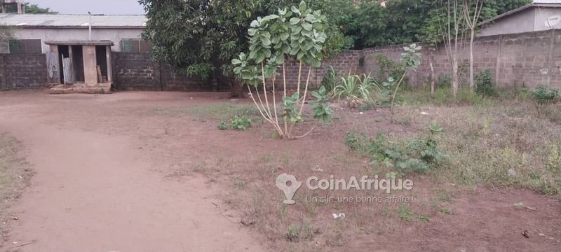 Terrain constructible avec titre foncier sécurisé et emplacement stratégique