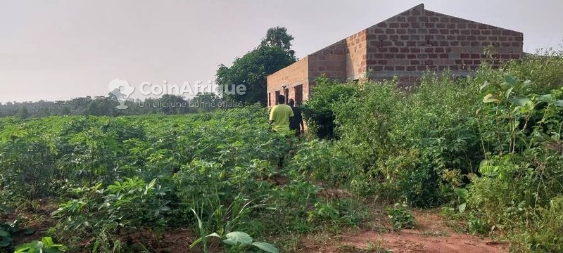 Terrain constructible avec titre foncier sécurisé et emplacement stratégique