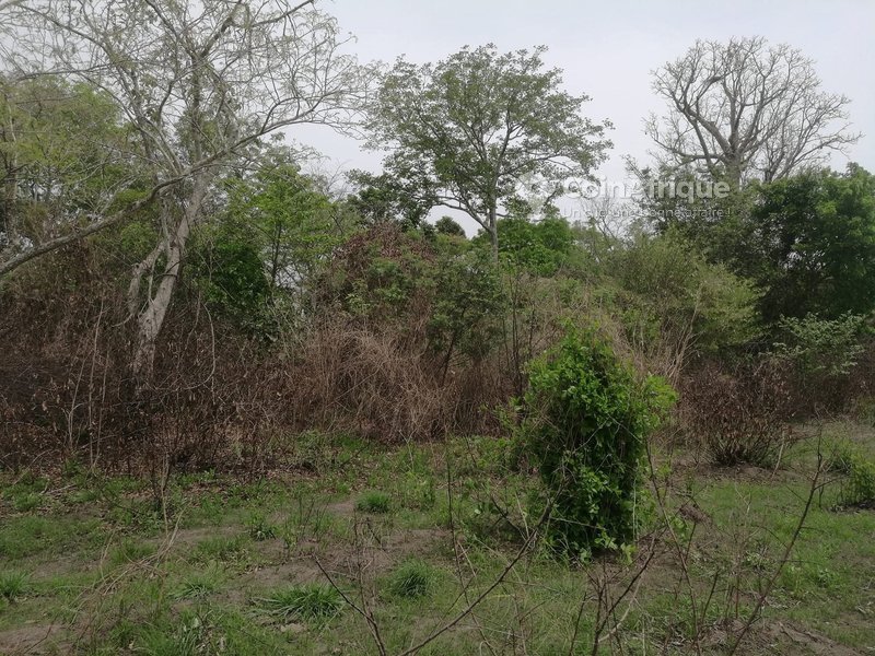 Terrain exceptionnel de 60 hectares avec autorisation légale de vente
