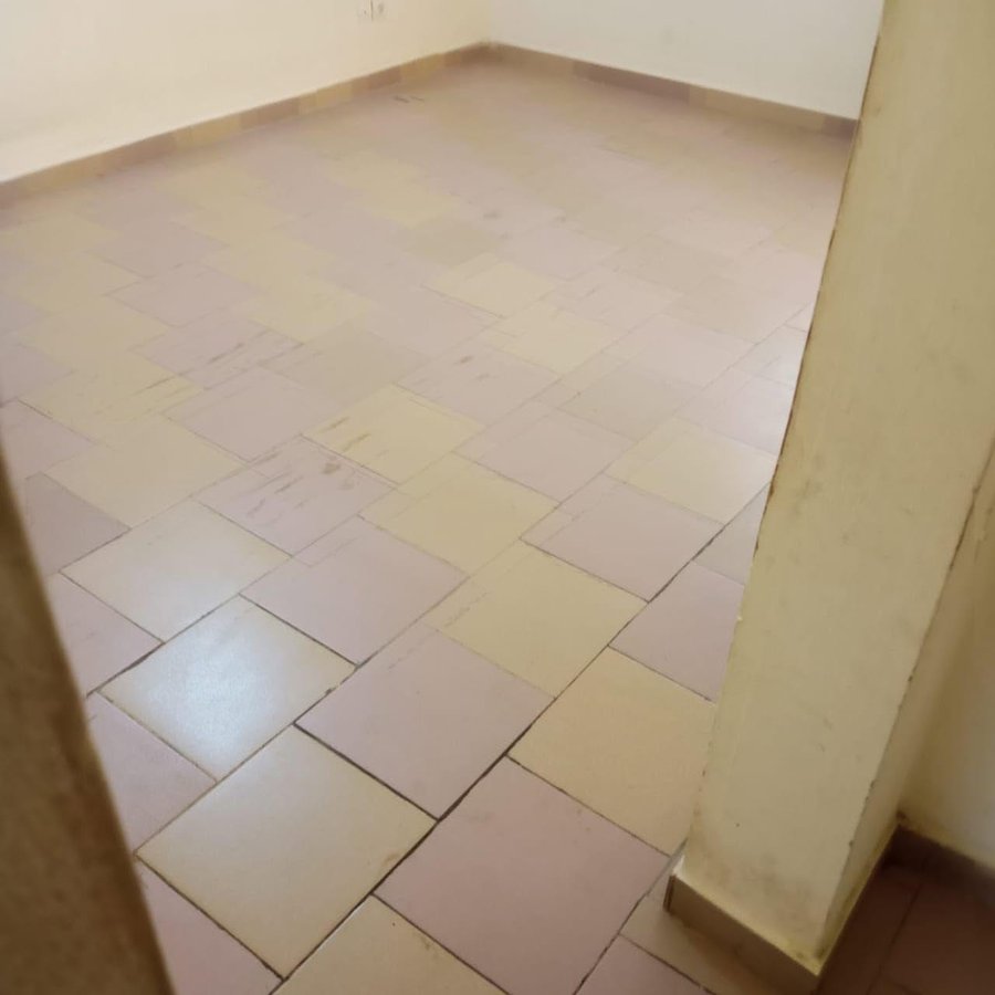 Appartement 2 pièces avec cuisine et douche séparées - Plan américain moderne