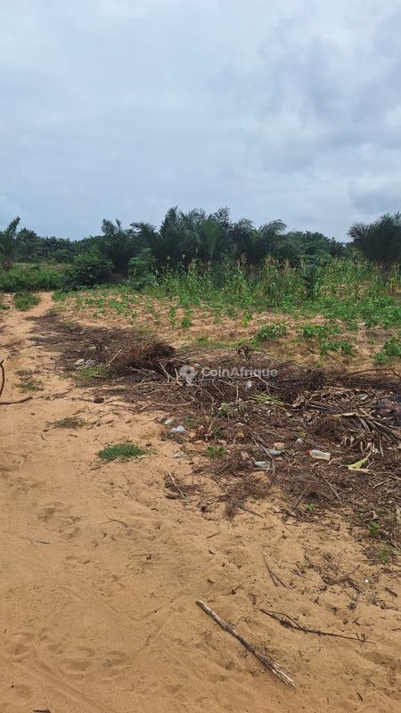 Terrain sécurisé de 350 m² en pleine expansion avec transactions notariales