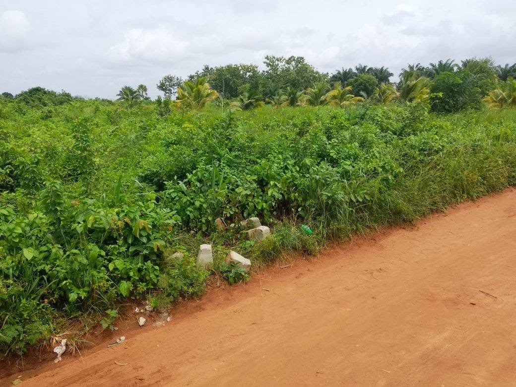 Terrain à vendre avec emplacement stratégique et opportunité d'investissement