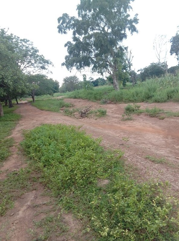 Terrain spacieux de 400 m² en bordure de route goudronnée à Hevié