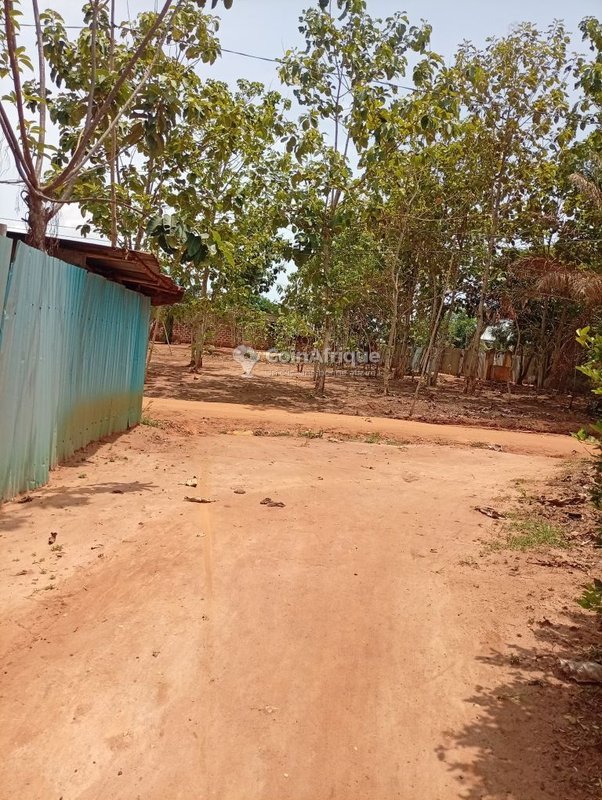 Terrain constructible de 500 m² avec électrification et poteau électrique