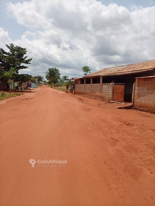 Terrain constructible de 500 m² avec électrification et poteau électrique