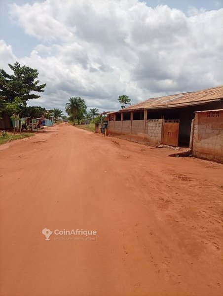 Terrain constructible de 500 m² avec électrification et poteau électrique