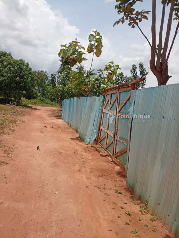 Terrain constructible de 500 m² avec électrification et poteau électrique